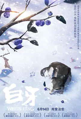 海报中虽然罗伯托·贝尼尼、伍迪·艾伦、佩内洛普·克鲁兹、杰西·艾森伯格、艾伦·佩姬、亚历克·鲍德温 基德曼评论家选择奖性感亮相 艾米罗森大秀酥胸 2016-12-12 感的低胸长裙性感撩人。
